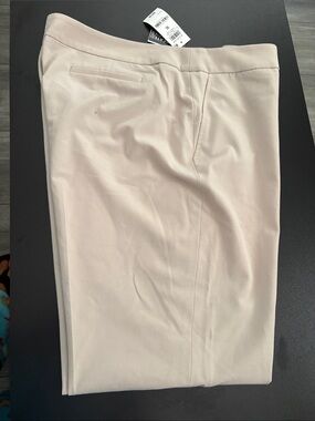 Brand New Barr III women suit pants.